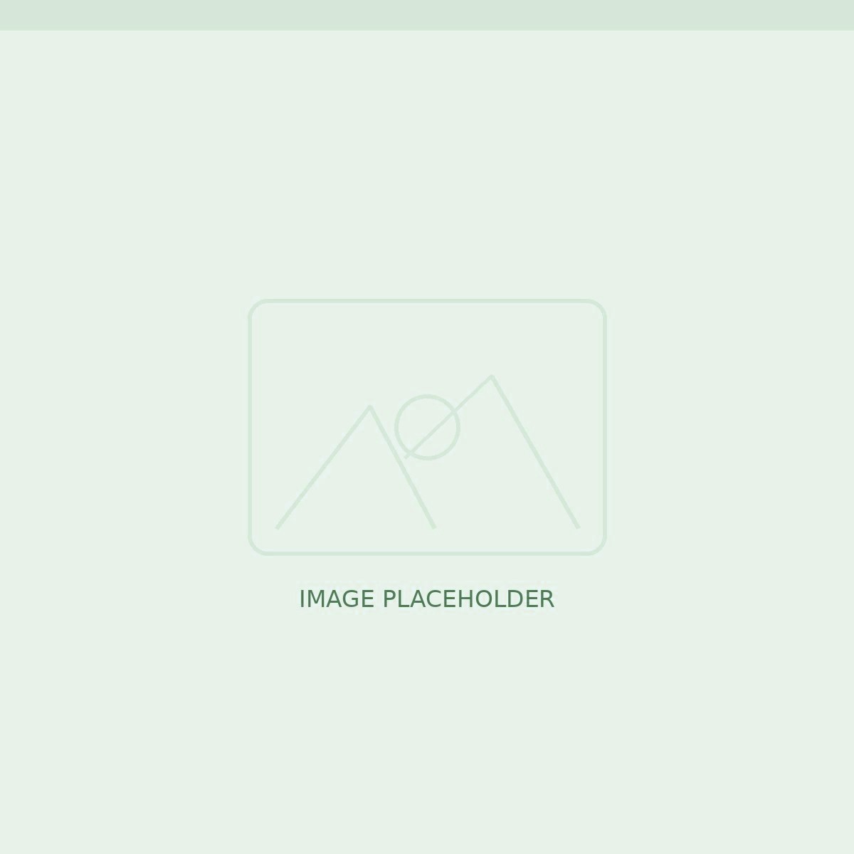 Image placeholder — describe this photo for search engines.